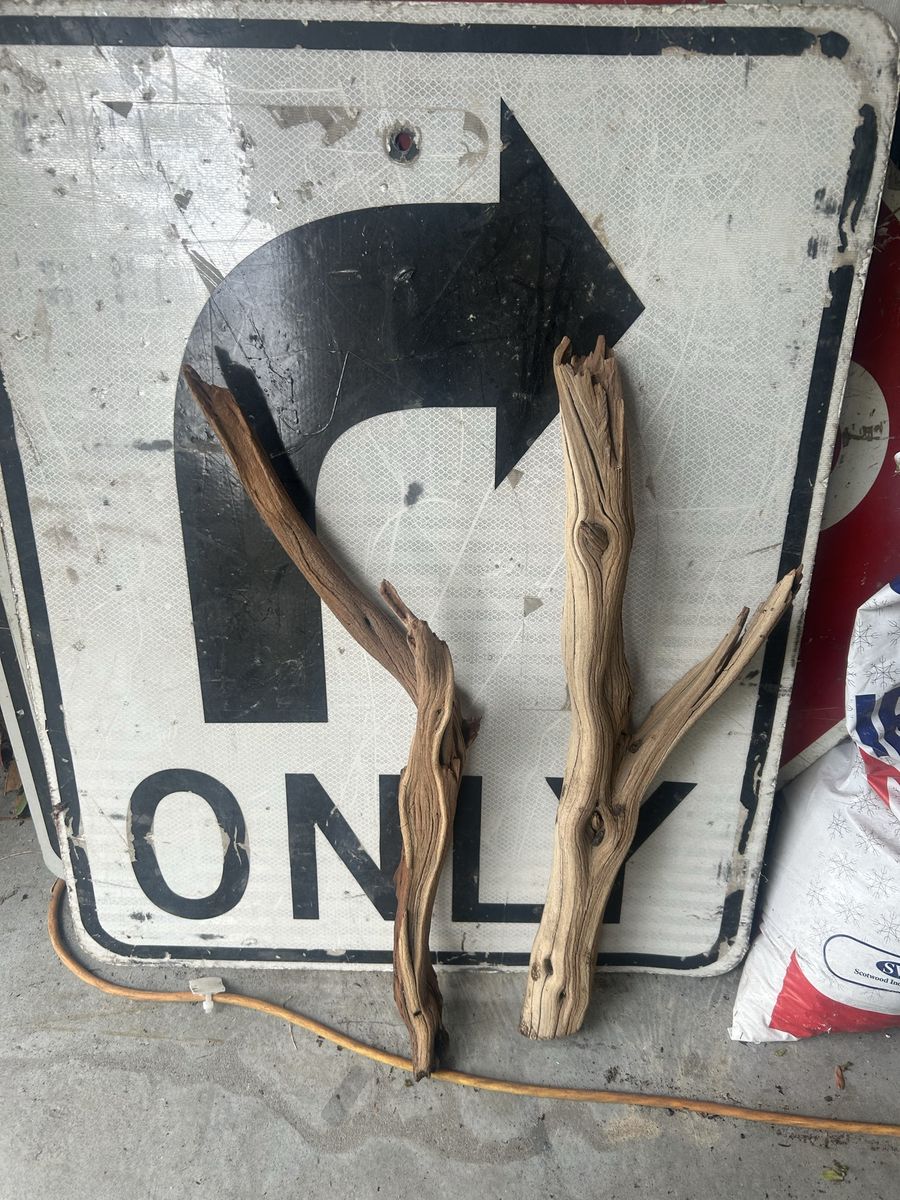 Reptile wood
