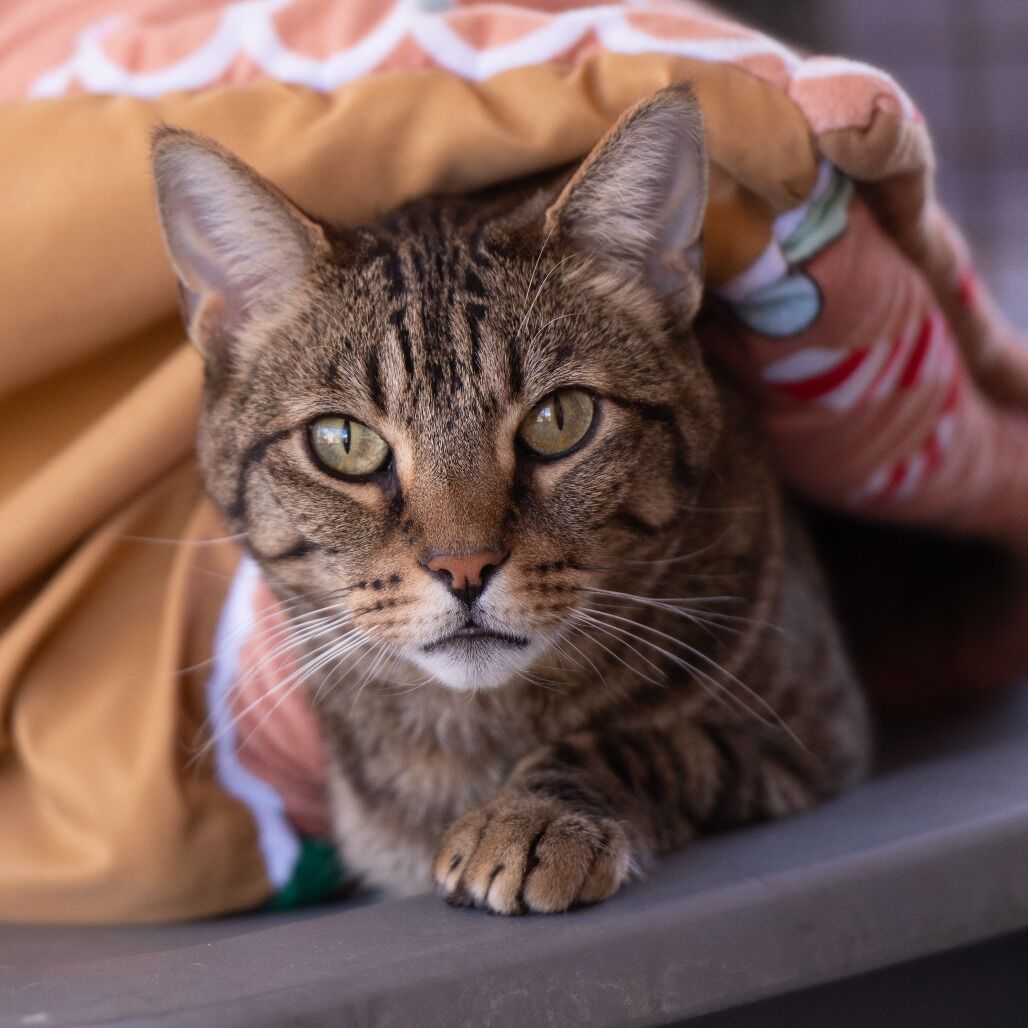 Hello my name is Imu