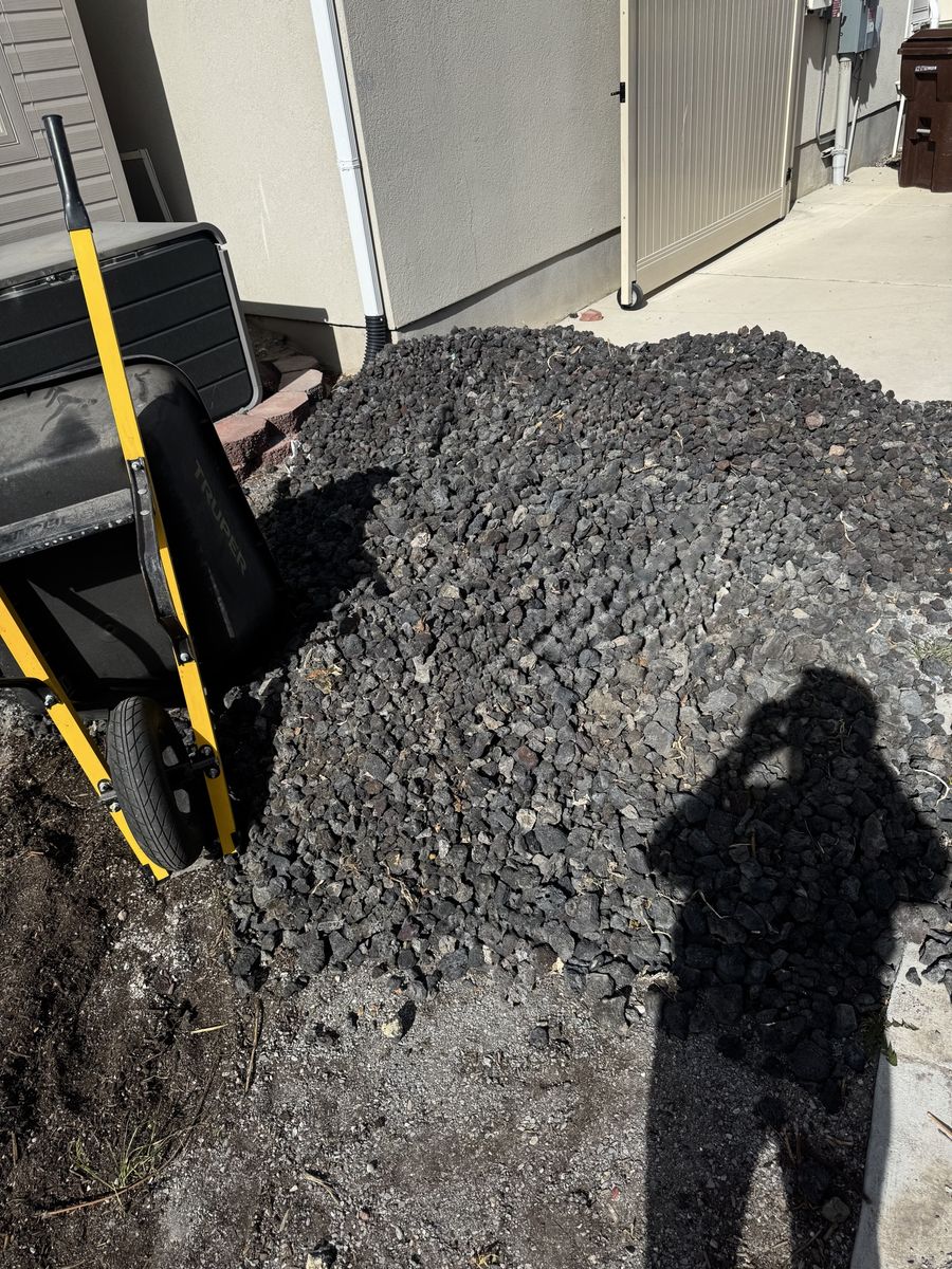 Black lava rock. Free to a loving home