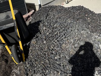 Black lava rock. Free to a loving home