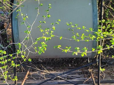 large metal green drum composter handle turn.