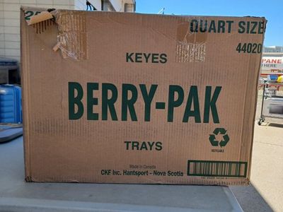 Berry-Pak trays