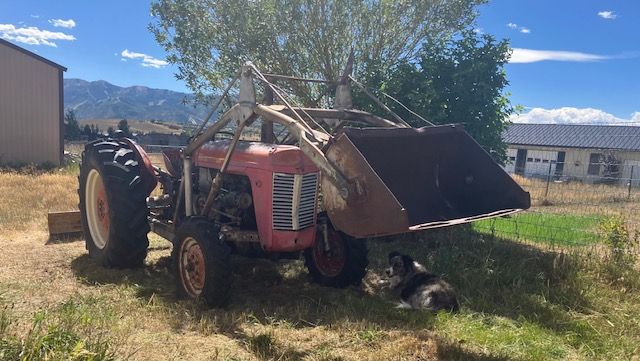 '62 Massey Ferguson tractor