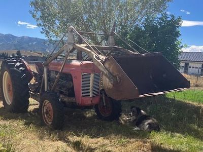 '62 Massey Ferguson tractor