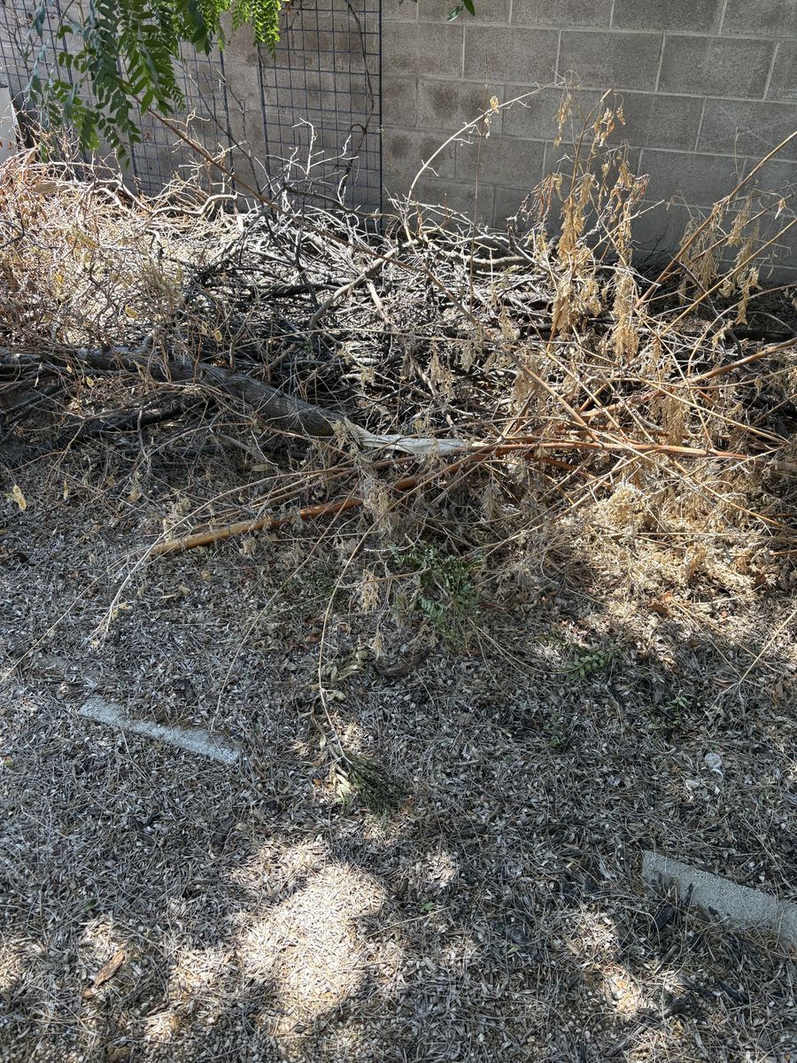 Main image 2