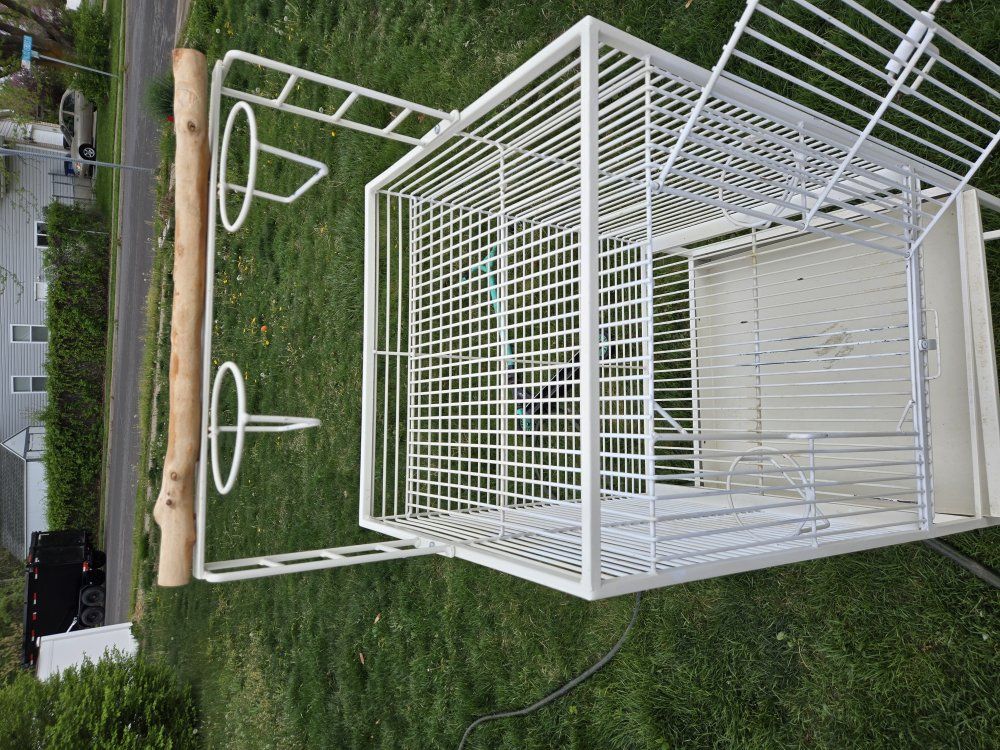 Main image 2