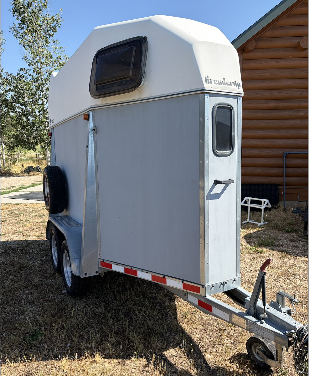 2005 Brenderup SOLO Single-Horse trailer – Excellent Condition - one owner