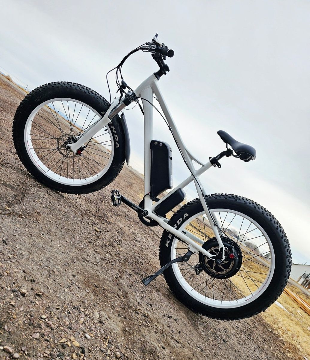 Adult electric bike