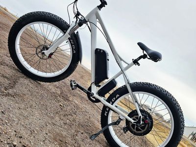 Adult electric bike