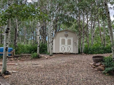 Bull Moose #11 – Sourdough Wilderness Ranch