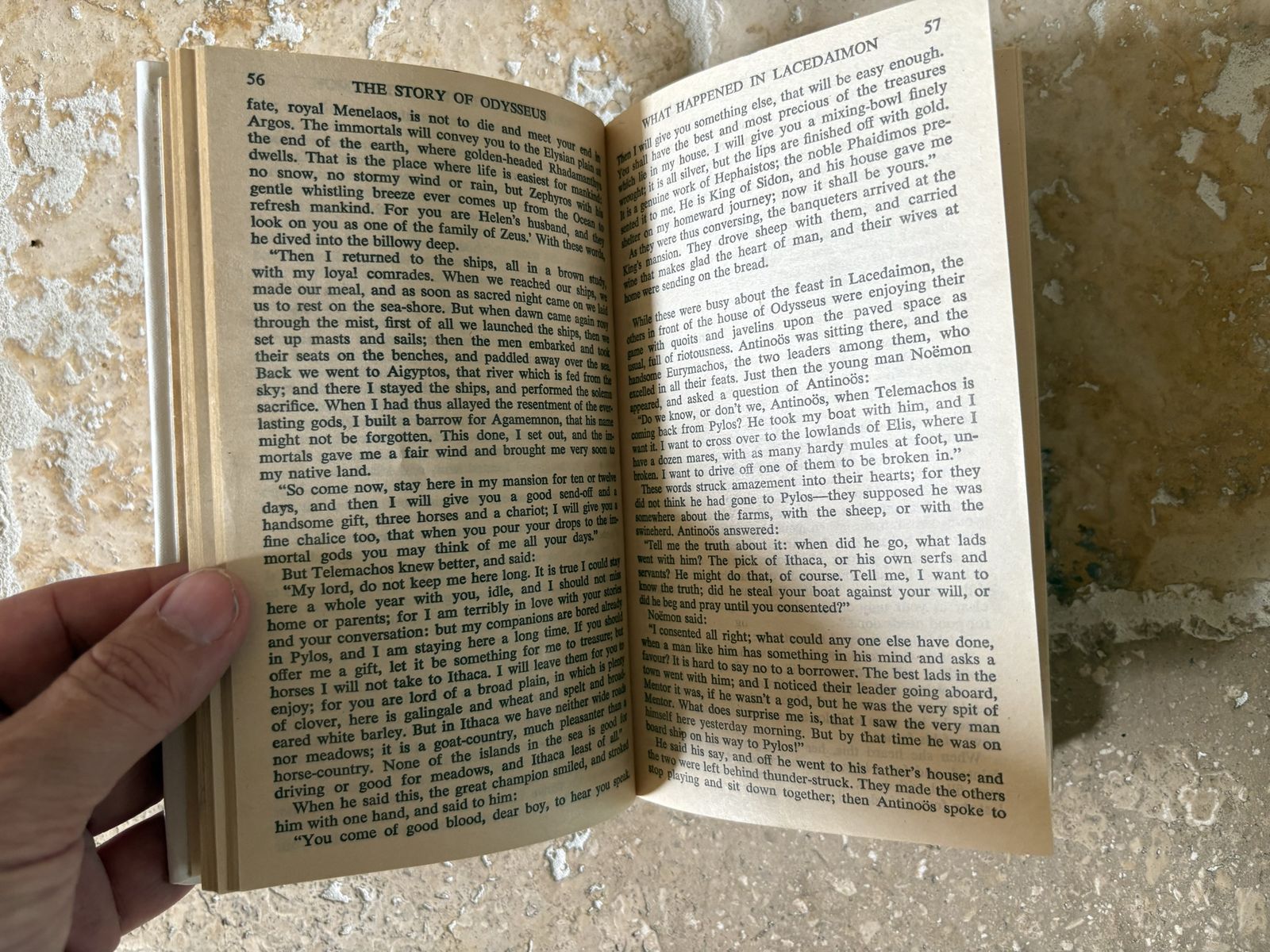 Main image 3