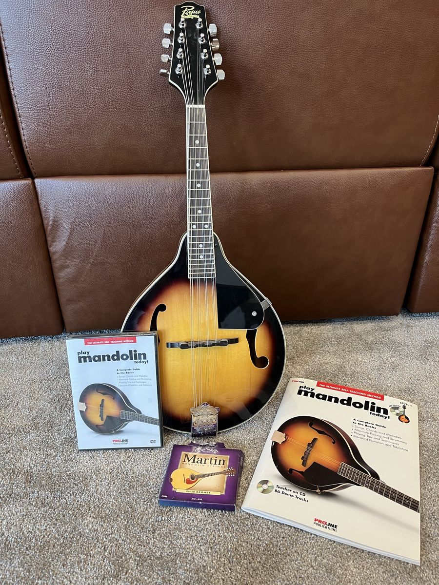Rogue B2 Mandolin