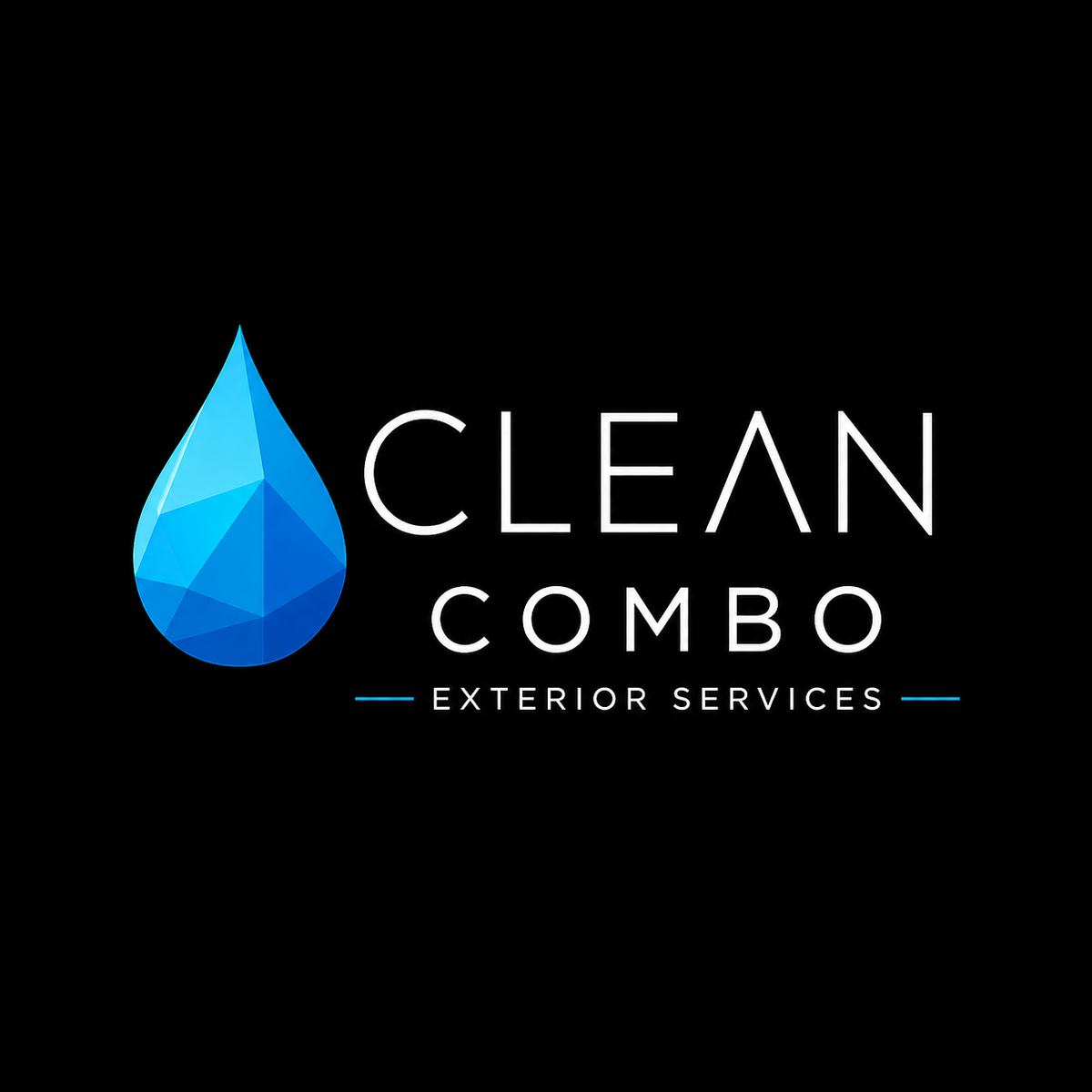 ️ Clean Combo Professional Auto Detailing...The Clean Your Car Deserves!