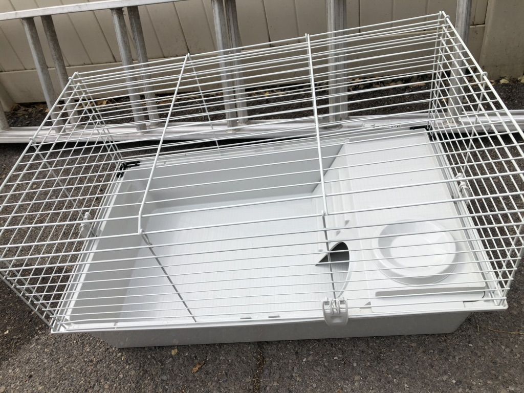 Main image 6