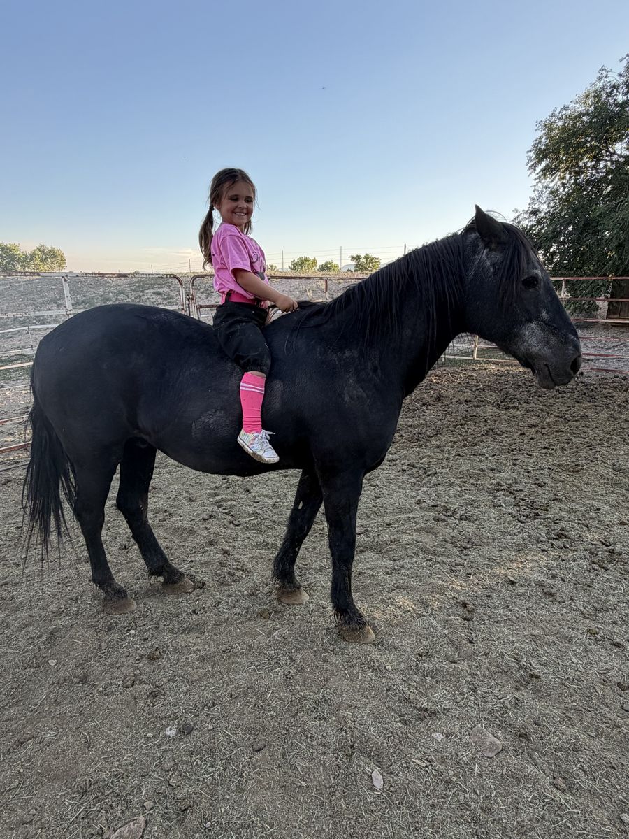 18-19 year old pony