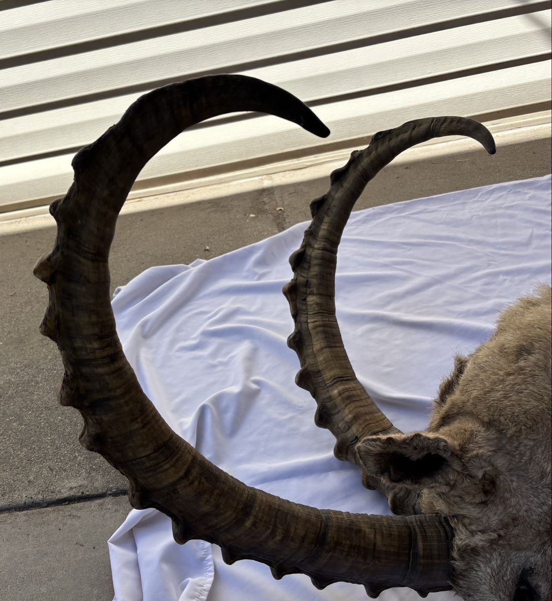 Main image 6