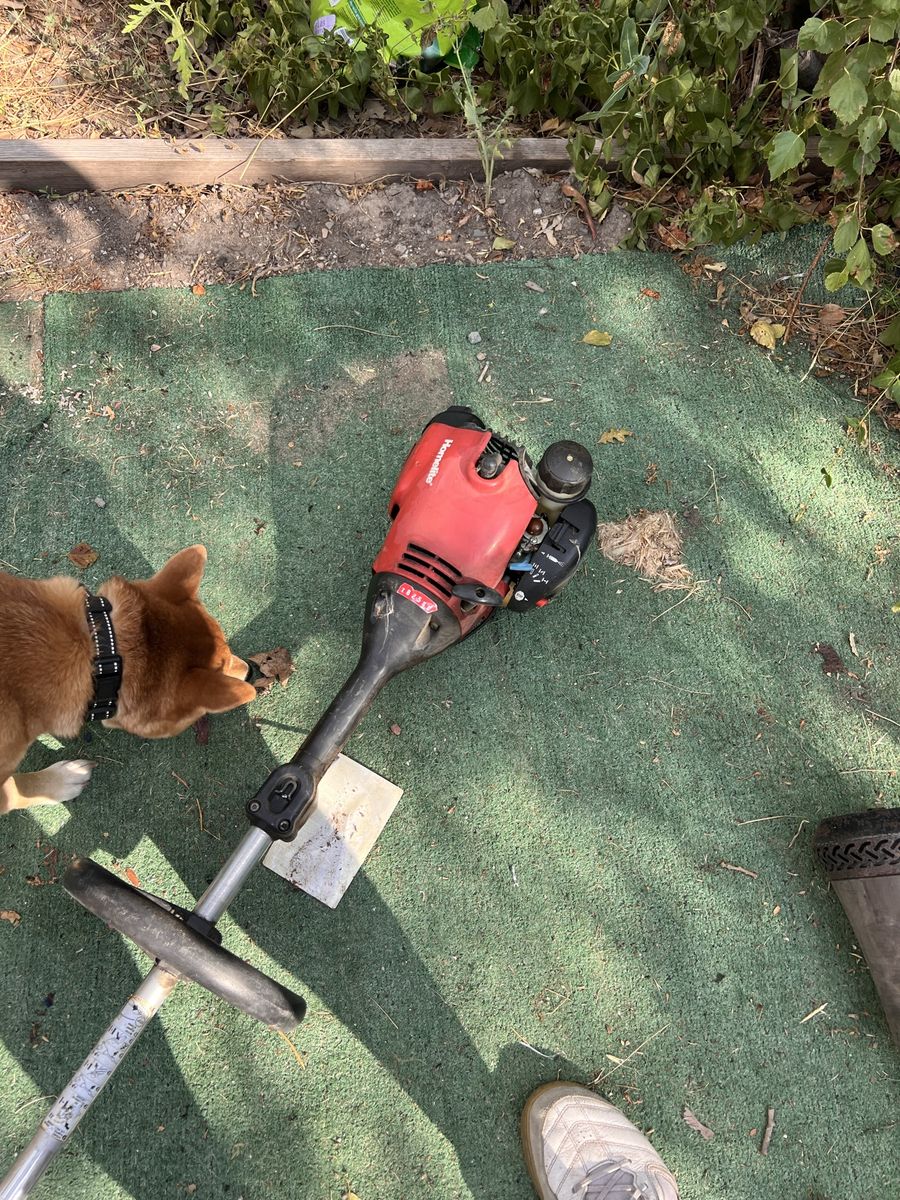 Homelite 2-Stroke Gas String Trimmer Weed Wacker - Red/Black, Works Great