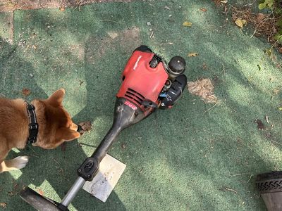 Homelite 2-Stroke Gas String Trimmer Weed Wacker - Red/Black, Works Great