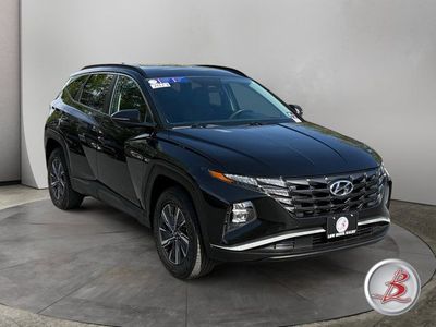 2023 HYUNDAI TUCSON Blue