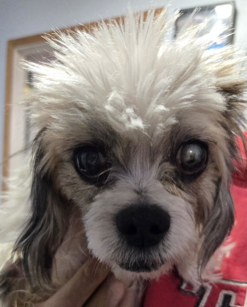 Dixon, well, we all need love and a HOME!