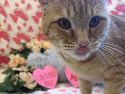 Hello my name is Anakin