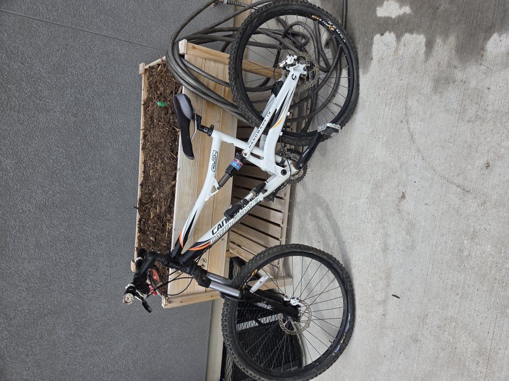 cannondale rush