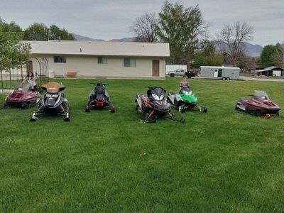 Thinning the herd