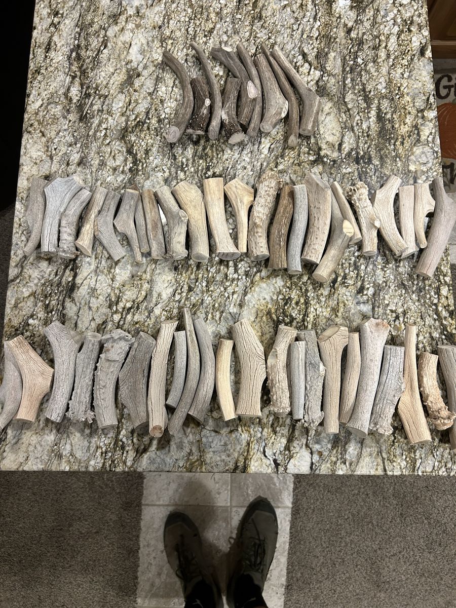 Mule Deer Shed Antler Dog Chews