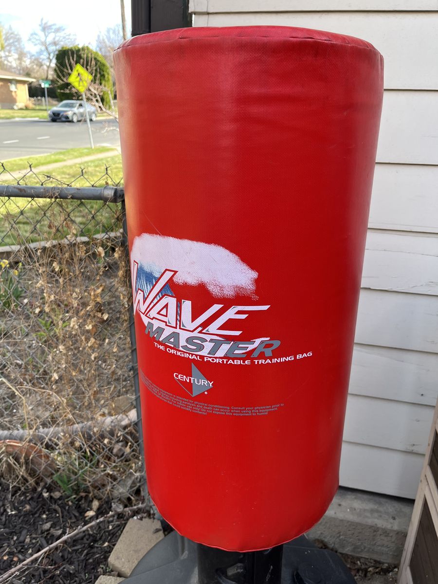 Nice Punching Bag With Gloves