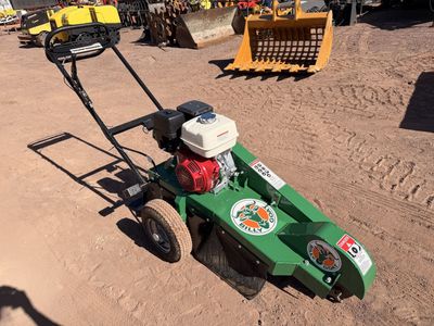 Walk Behind Stump Grinder