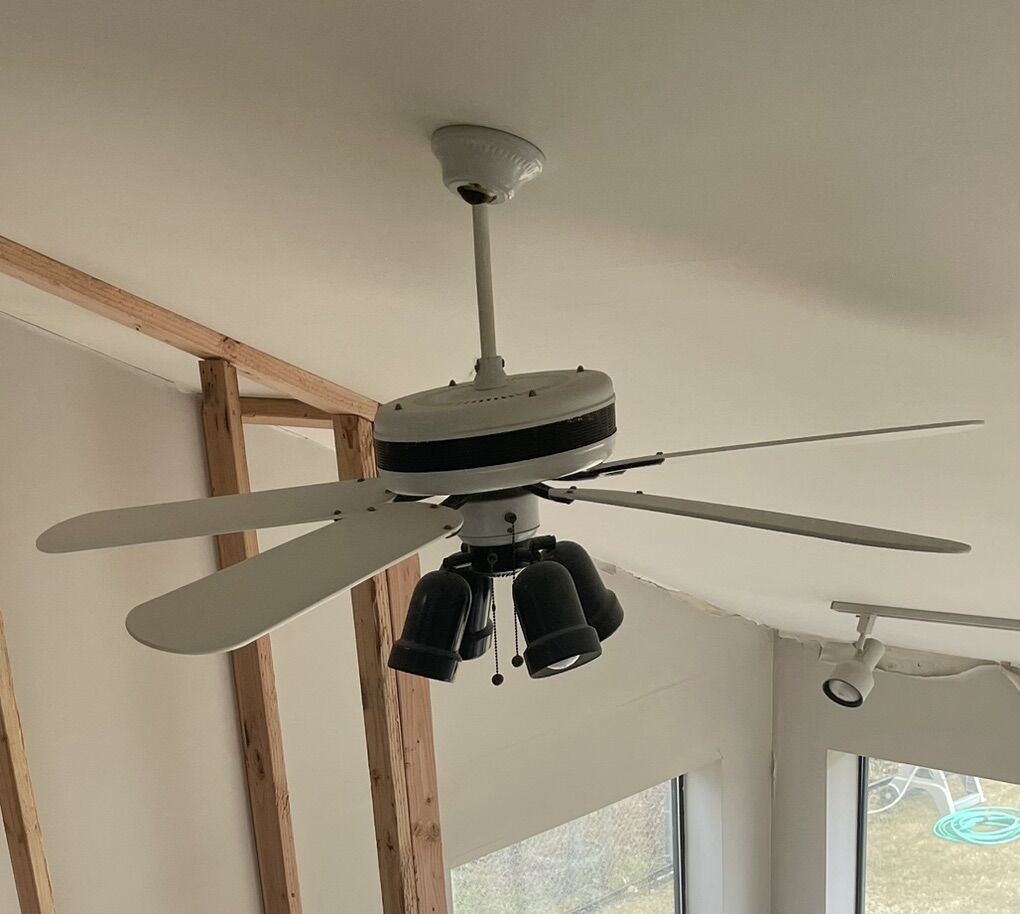 Black and White Ceiling Fan with Lights