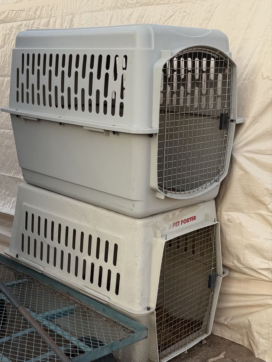 Extra Large Pet Mate & Pet Porter Plastic Dog Kennels / Travel Crates
