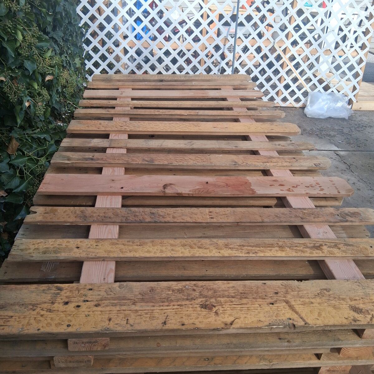 Fence Panels 4 x 8