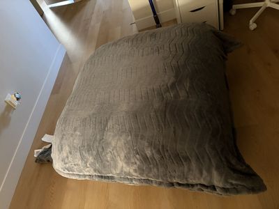 Giant Cushion from Costco