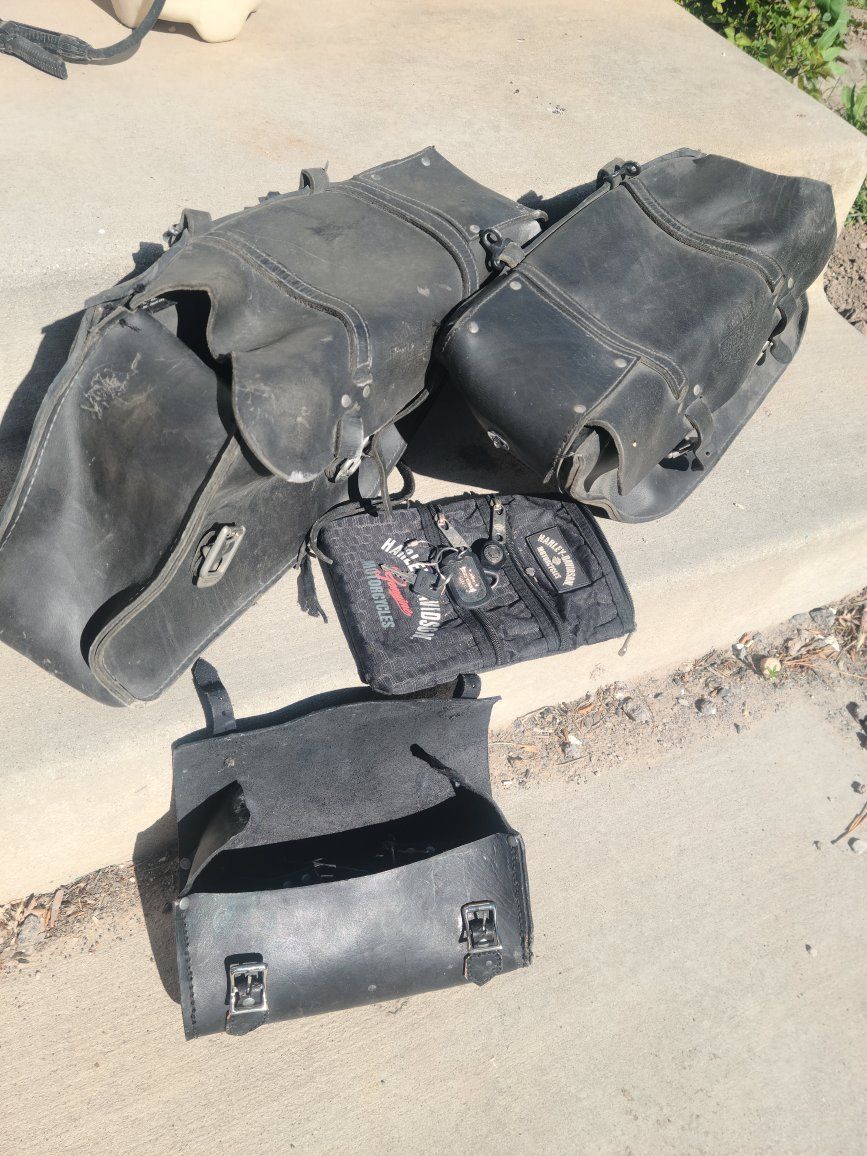 Harley Davidson Saddle Bags