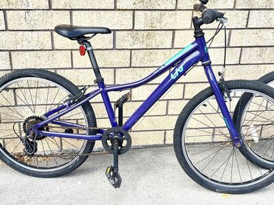Giant Liv Enchant 24” wheel girls bike 7 speed light aluminum frame. Tuned and ready! $350+ new. Trek, Specialized quality
