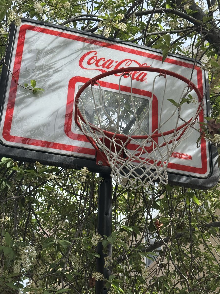 Outdoor Basketball Hoop