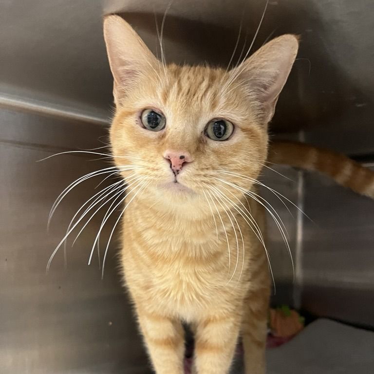 Hello my name is Sunday