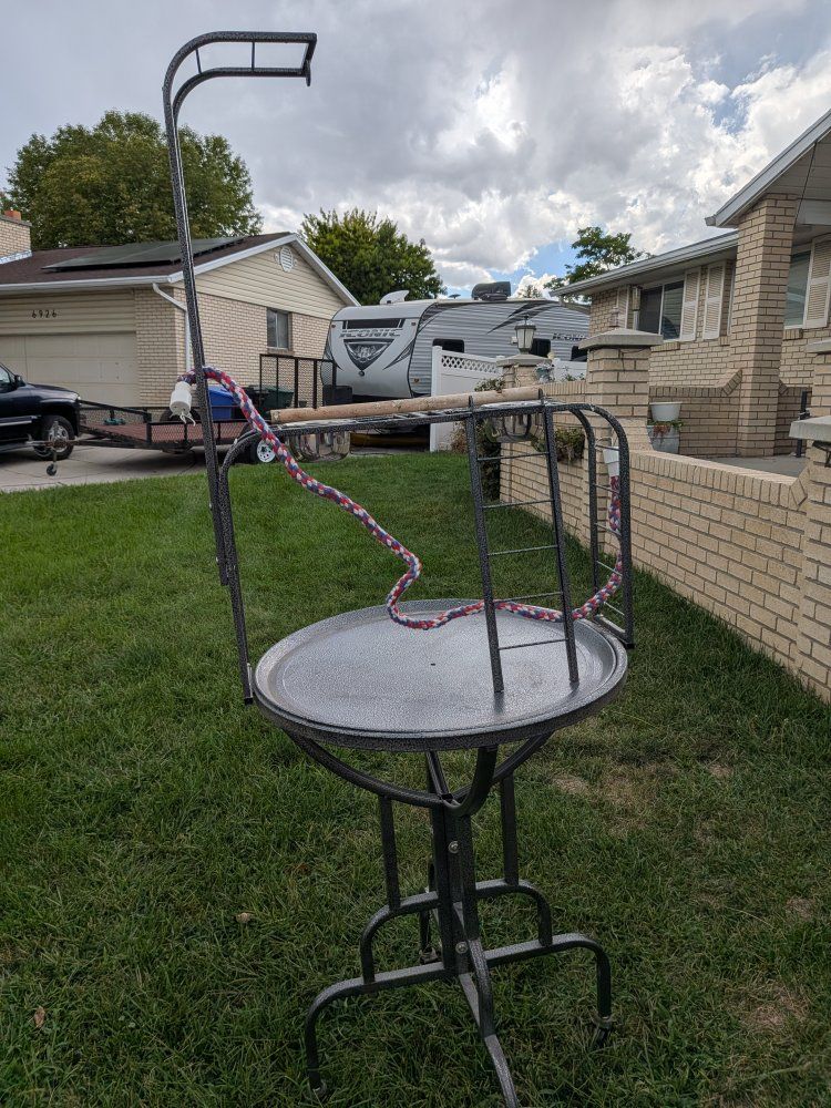 bird stand 
