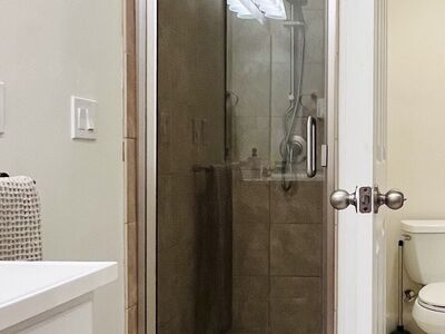 Hinged Shower Door