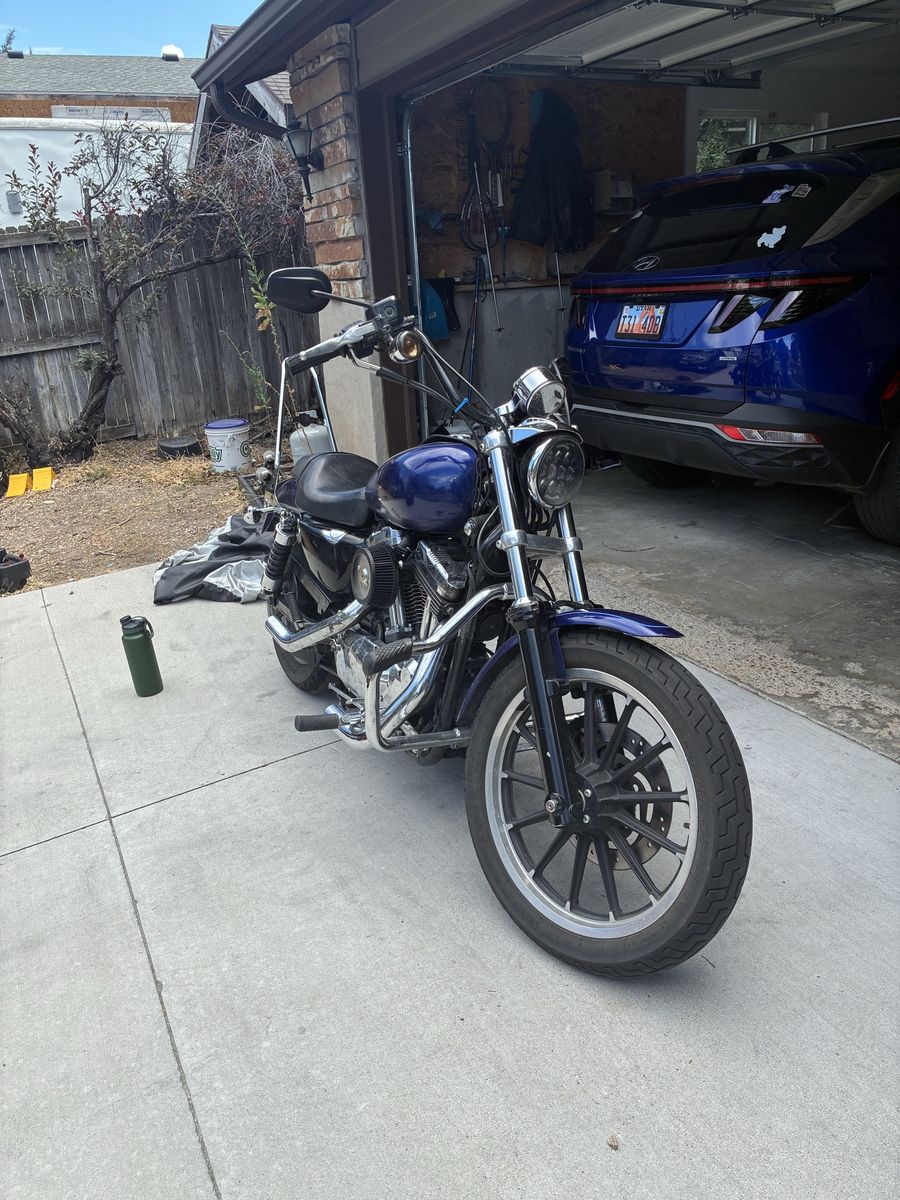 2007 Harley Davidson sportster 1200 low