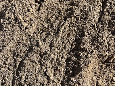 Screened Topsoil