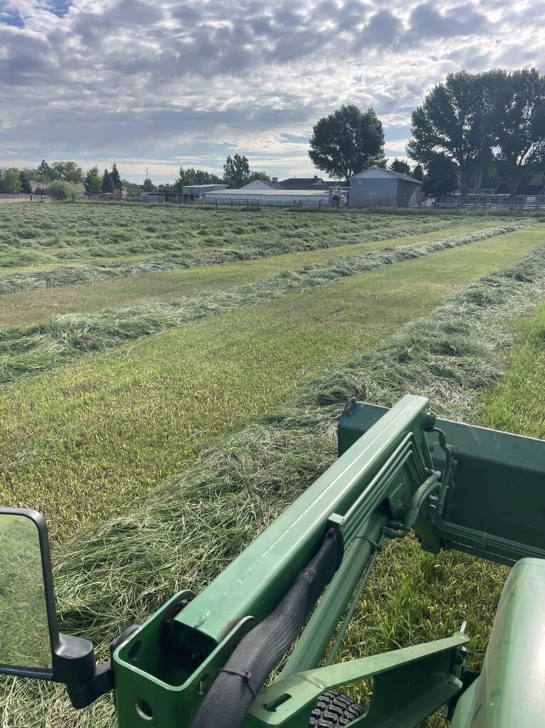 Number one premium grass hay