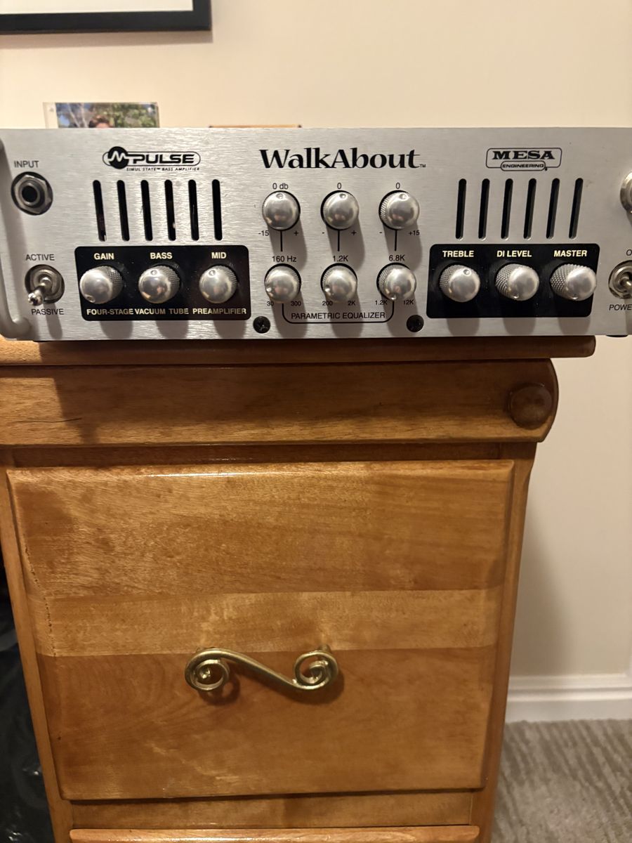 Mesa Boogie Walkabout Tube Bass Amp Head