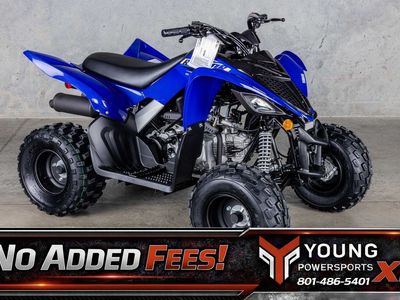 2026 Yamaha Raptor 110