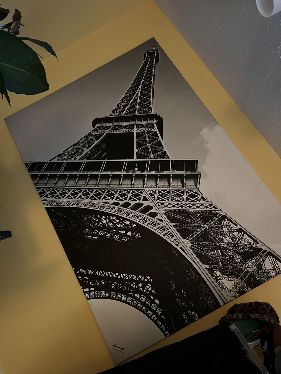 Wall hanging/ photograph