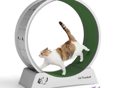 Cat Exercise Wheel Plastic Running Wheel trademill - new!