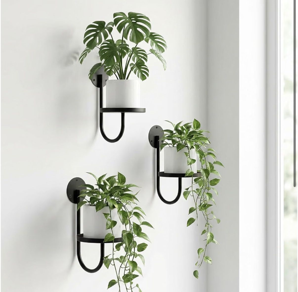 Set of 3 Wall Mounted Metal Plant Brackets
