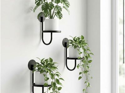 Set of 3 Wall Mounted Metal Plant Brackets