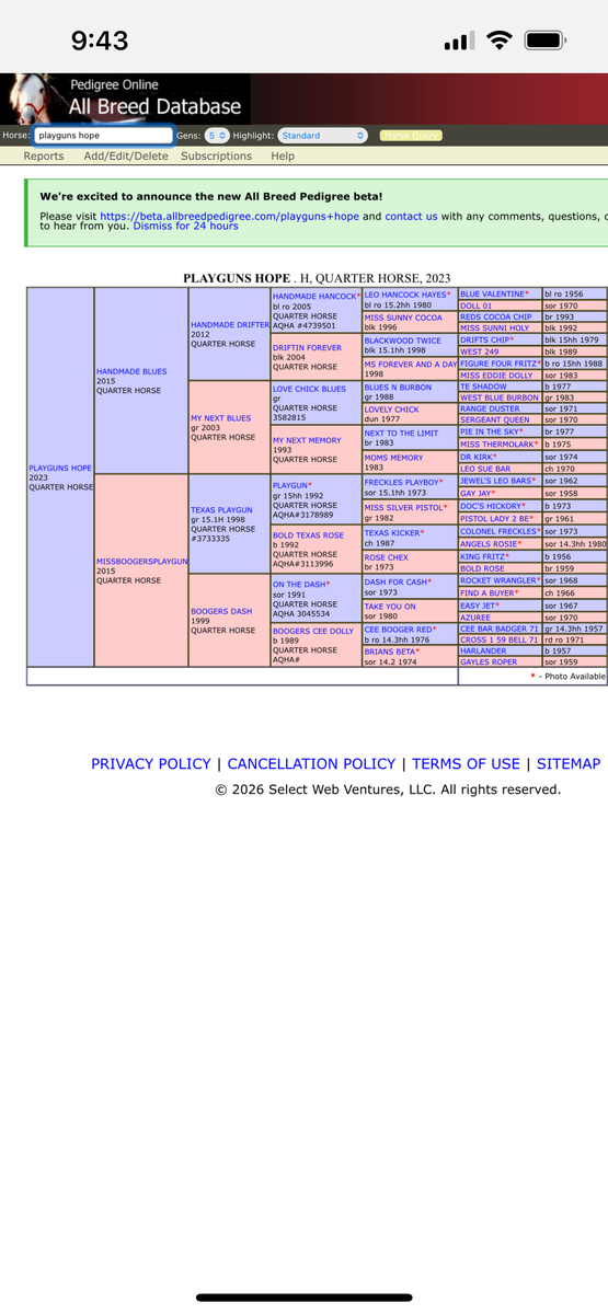 Main image 6